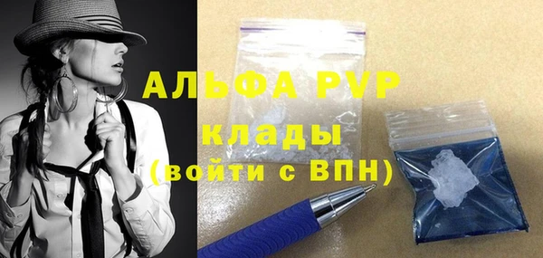 СК Медвежьегорск