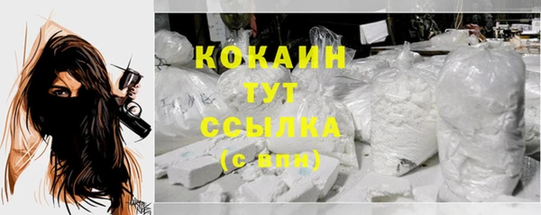 СК Медвежьегорск