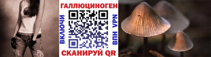 что такое наркотик  Юрюзань  Псилоцибиновые грибы мицелий 